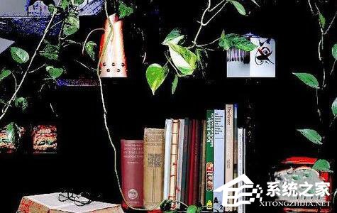 ps怎么制作色调分离效果？ps制作色调分离效果的方法