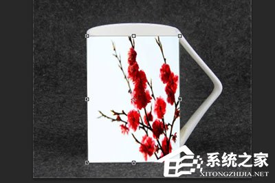 PS怎么给杯子贴图？PS给杯子贴图的方法