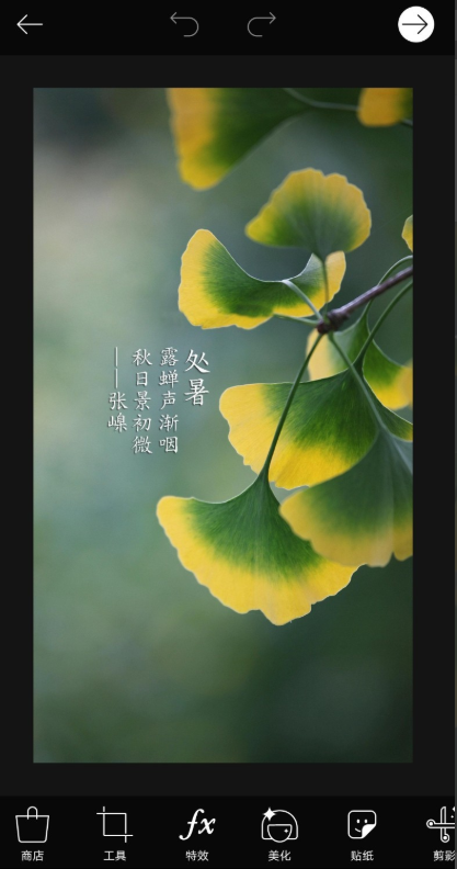 如何用picsart去除图片上的印记?