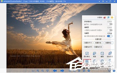 2345看图王照片添加马赛克的方法 2345看图王照片怎么添加马赛克