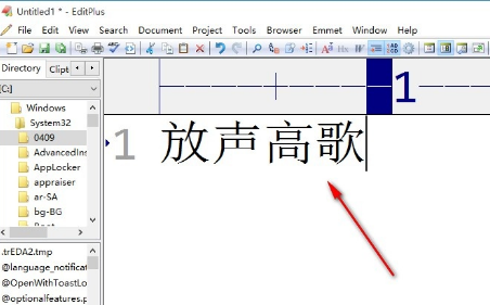 EditPlus设置字体大小步骤介绍