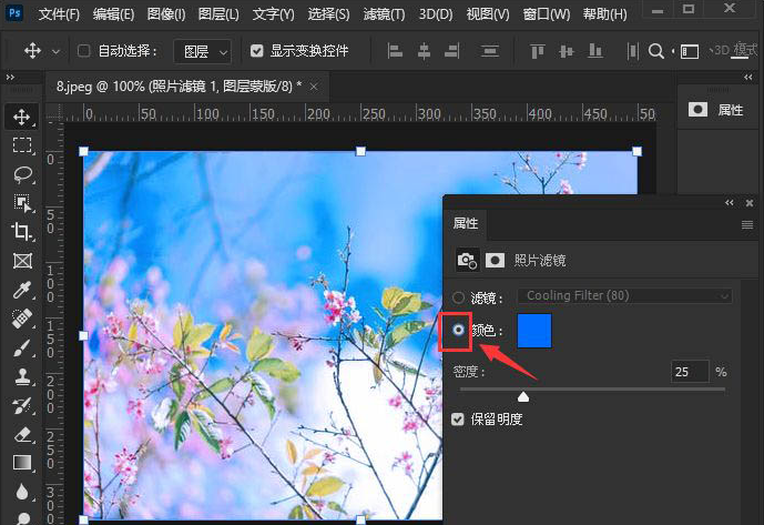 ps2021照片滤镜设置教程分享