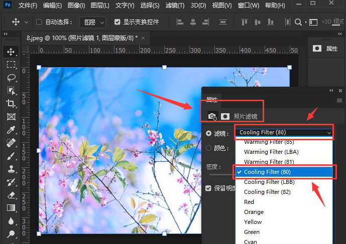 ps2021照片滤镜设置教程分享