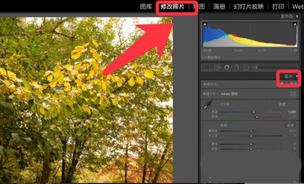 lightroom树叶变红技巧分享