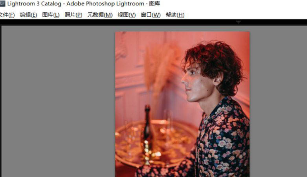 lightroom设置目录文件方法介绍