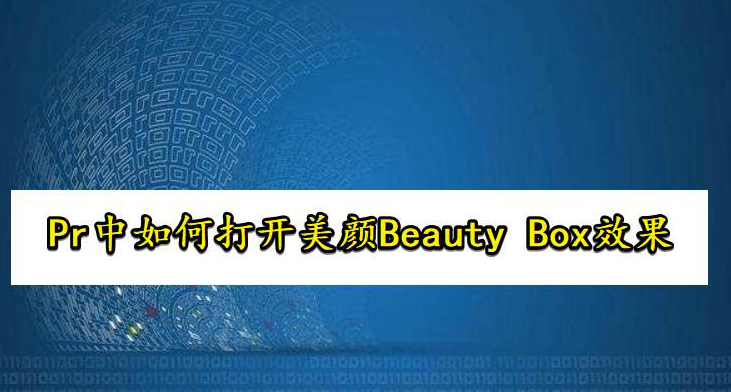 Pr打开BeautyBox磨皮插件教程分享