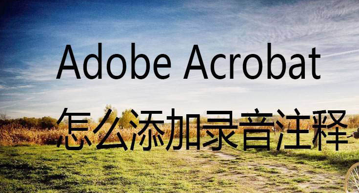 Acrobat添加录音注释方法介绍
