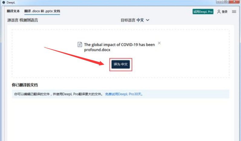 DeepL英文文档翻译步骤介绍