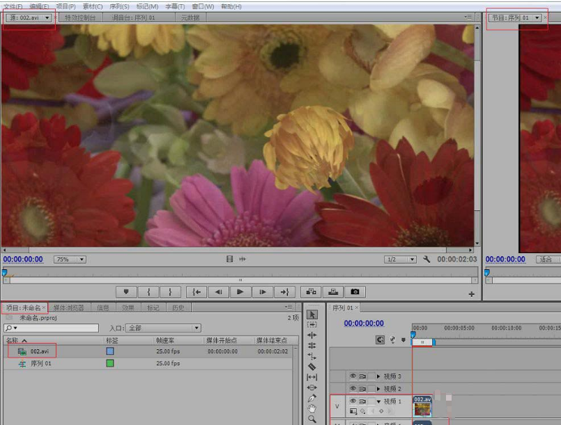 pr素材复制教程分享