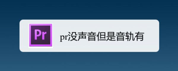 pr有音轨但没声音如何解决
