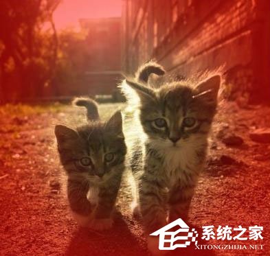 PS蒙版的作用有哪些？PS蒙版的用途分享