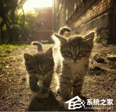 PS蒙版的作用有哪些？PS蒙版的用途分享