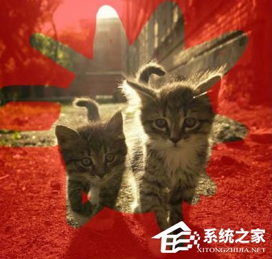 PS蒙版的作用有哪些？PS蒙版的用途分享