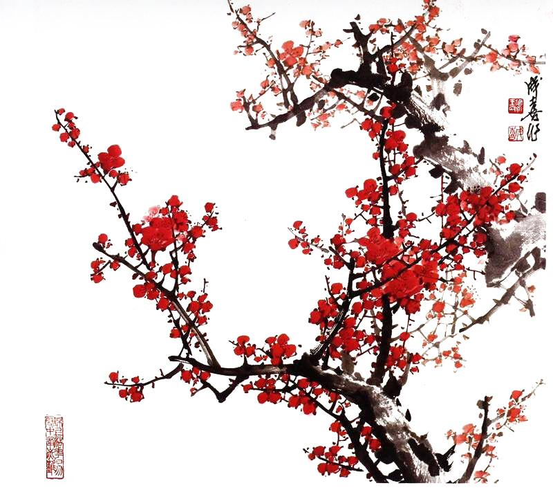 PS如何使用通道抠梅花？PS通道抠图教程分享