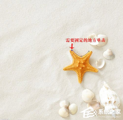 磁性套索工具怎么用？PS磁性套索工具使用技巧