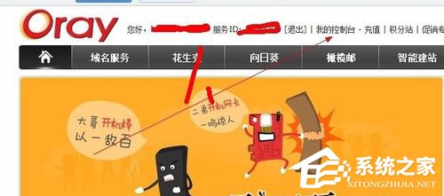 花生壳怎么用?花生壳使用教程