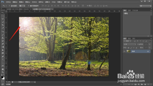 ps给树林添加阳光特效方法分享