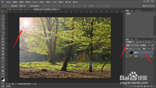 ps给树林添加阳光特效方法分享