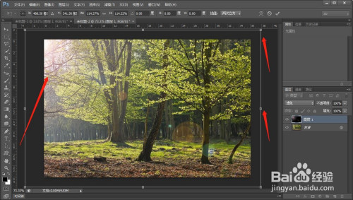 ps给树林添加阳光特效方法分享