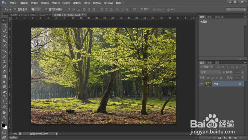 ps给树林添加阳光特效方法分享
