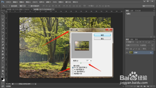 ps给树林添加阳光特效方法分享