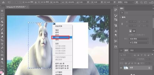ps自由变换取消等比例方法介绍