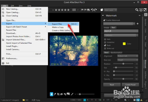 AfterShot Pro给图片添加文字水印方法分享