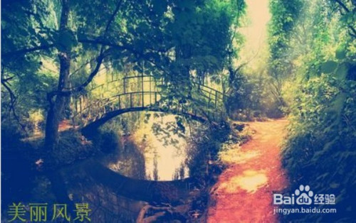 AfterShot Pro给图片添加文字水印方法分享