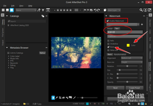 AfterShot Pro给图片添加文字水印方法分享