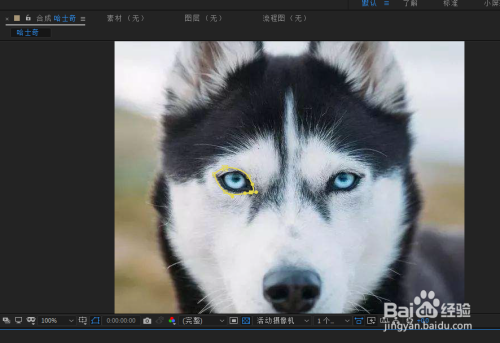 AE使用蒙版为哈士奇添加第三只眼睛教程分享