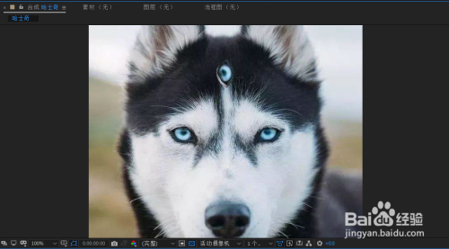 AE使用蒙版为哈士奇添加第三只眼睛教程分享
