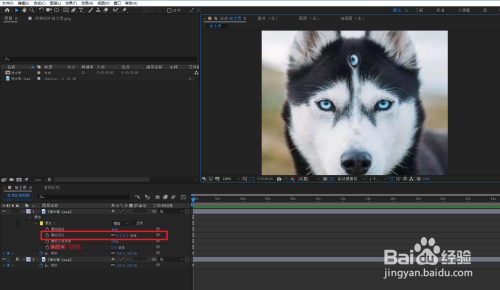 AE使用蒙版为哈士奇添加第三只眼睛教程分享