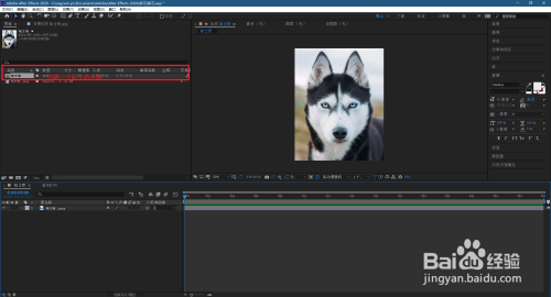 AE使用蒙版为哈士奇添加第三只眼睛教程分享