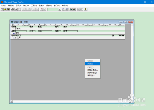 使用VF快速制作报表教程