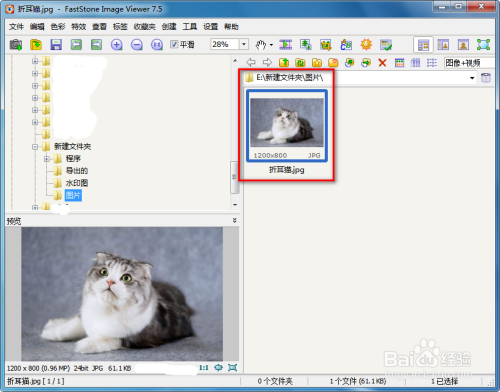 用FSViewer给图片添加文字和水印方法介绍