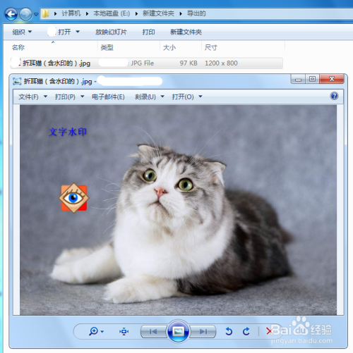 用FSViewer给图片添加文字和水印方法介绍