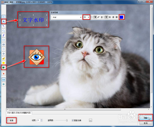 用FSViewer给图片添加文字和水印方法介绍