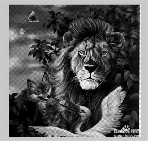 怎么用Fireworks设置透明背景