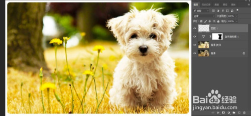 如何使用PS做出高彩外景