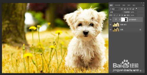 如何使用PS做出高彩外景