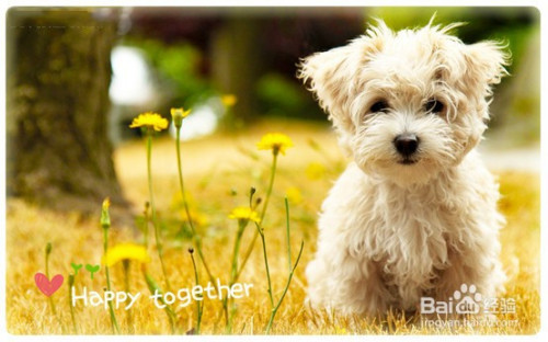 如何使用PS做出高彩外景