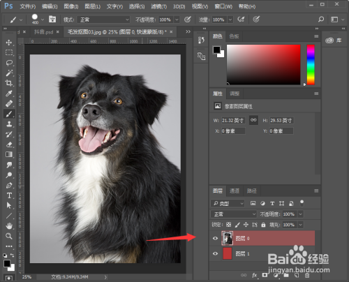 PS如何抠取小动物毛发