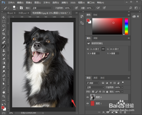 PS如何抠取小动物毛发