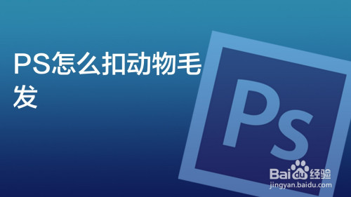 PS如何抠取小动物毛发