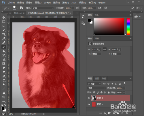 PS如何抠取小动物毛发