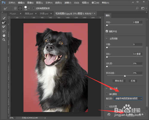 PS如何抠取小动物毛发