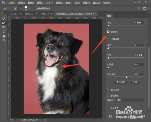 PS如何抠取小动物毛发