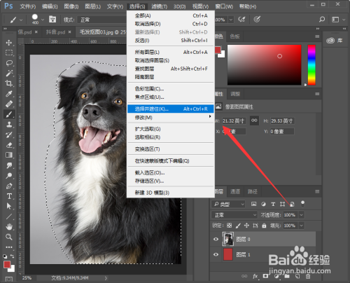 PS如何抠取小动物毛发