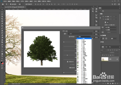 ps怎么制作树木