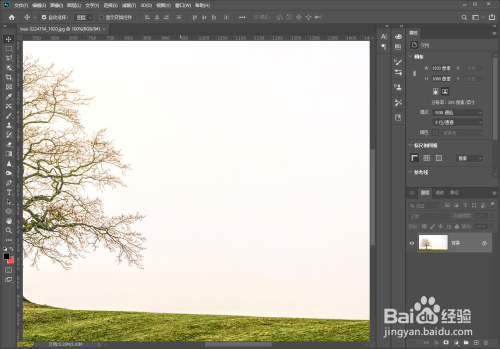 ps怎么制作树木